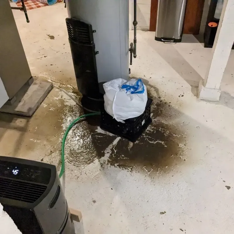 Sewage Backup Cleanup Service in Indianola, IA